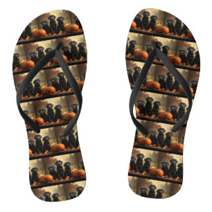 Labrador Puppy Autumn Delight Pumpkin  Jandals