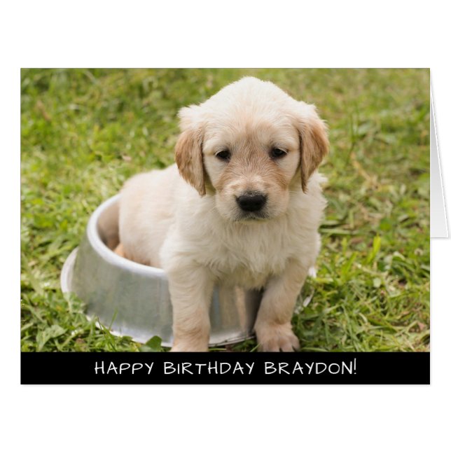 Labrador Puppy Dog Extra Large Birthday Card (Front Horizontal)