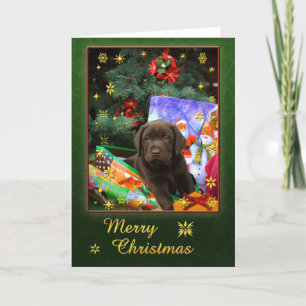 Labrador puppy in christmas mood holiday card