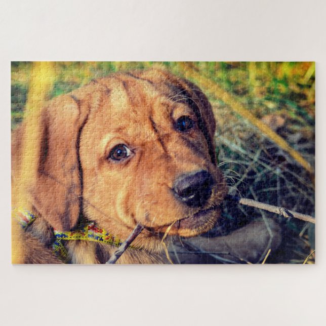 Labrador Puppy Jigsaw Puzzle (Horizontal)