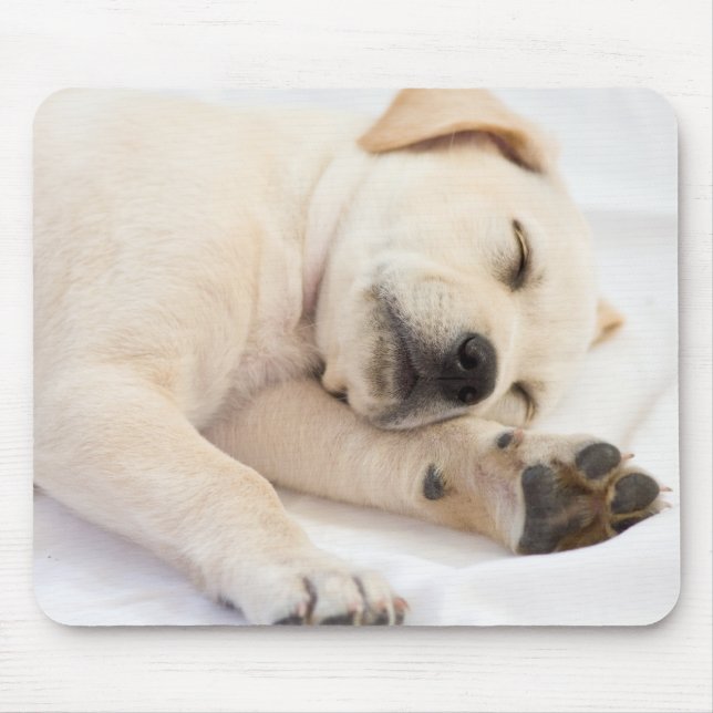 Labrador puppy mouse pad (Front)