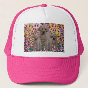 Labrador Puppy Oil Paint, Ladies Cap