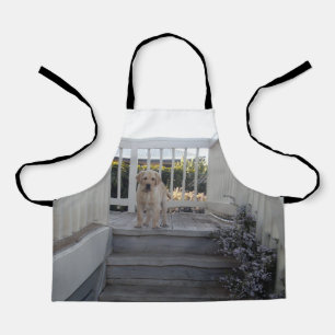 Labrador Puppy On Stairs, Kids Full Print Apron