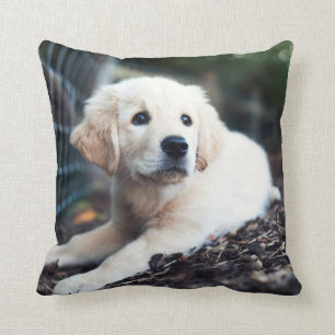 Labrador Puppy Playing In The Garden Cushion
