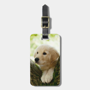 Labrador Puppy Sitting In A Woodland Setting Luggage Tag