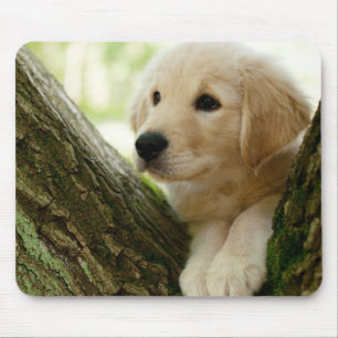 Labrador Puppy Sitting In A Woodland Setting Mouse Pad
