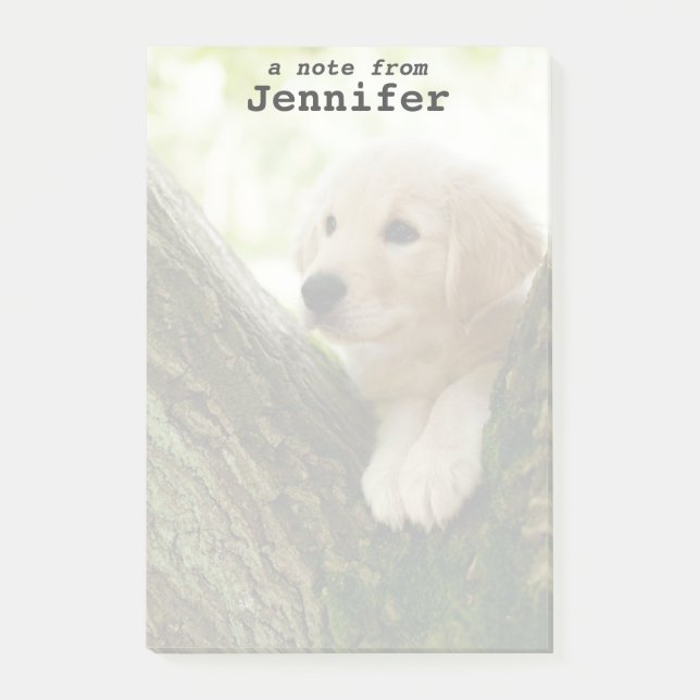 Labrador Puppy Sitting In A Woodland Setting Post-it Notes (Front)