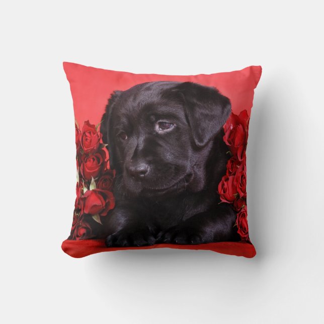 Labrador puppy with roses cushion (Front)