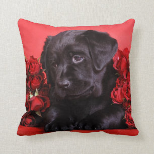 Labrador puppy with roses cushion