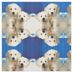 Labrador pups fabric