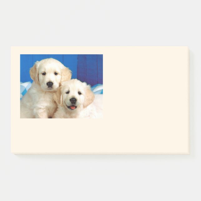 Labrador pups post-it notes (Front)