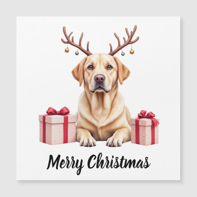 Labrador Reindeer (Front)