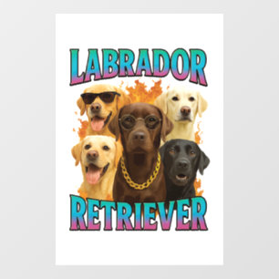 Labrador Retriever 