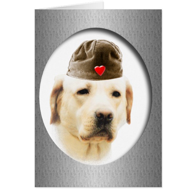 Labrador Retriever (Front)