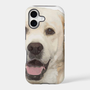 Labrador retriever 1