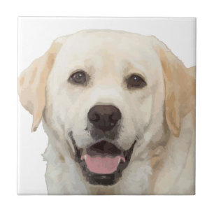 Labrador retriever 1 tile