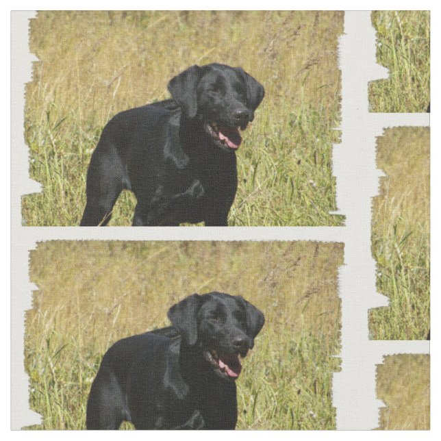labrador-retriever-25.jpg fabric (Close Up)