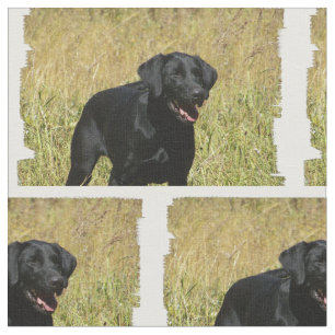 labrador-retriever-25.jpg fabric