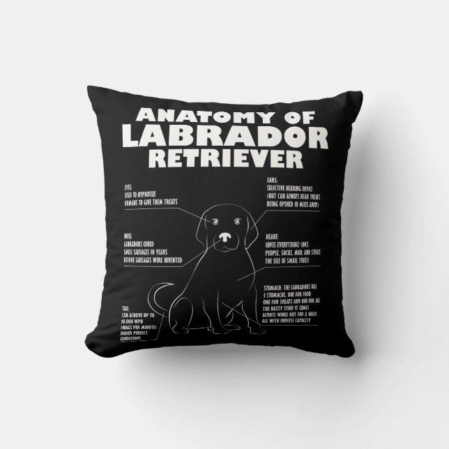 Labrador Retriever Anatomy Funny Dog owner Gift Cushion (Front)