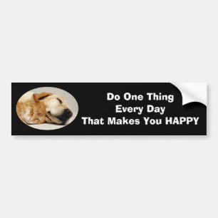 Labrador Retriever and Cat Bumper Sticker