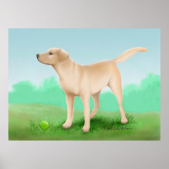 Labrador Retriever and his Tennis Ball Poster (Front)
