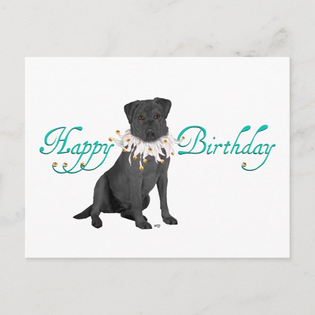 Labrador Retriever Birthday Greetings Postcard (Front)