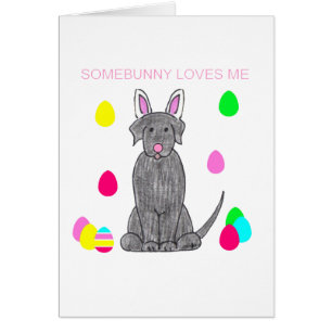 Labrador Retriever Black Somebunny Loves Me