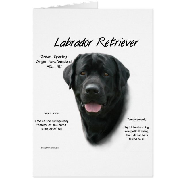 Labrador Retriever (blk) History Design (Front)