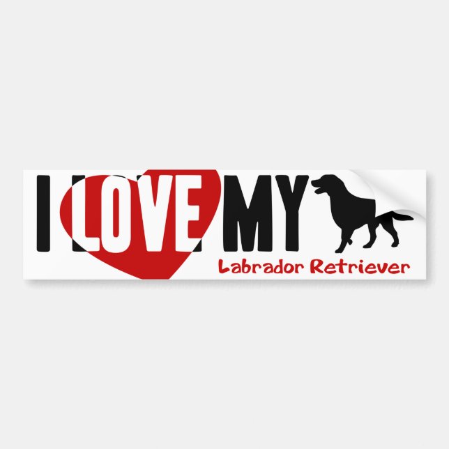 Labrador Retriever Bumper Sticker (Front)