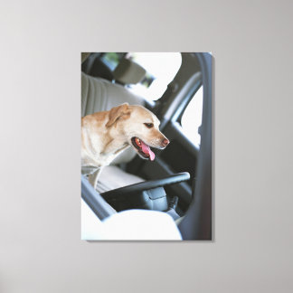 Labrador retriever canvas print