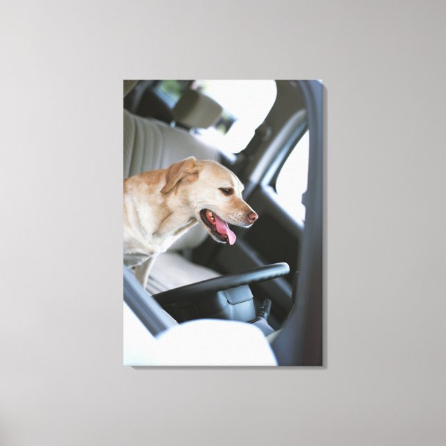 Labrador retriever canvas print (Front)
