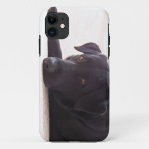 labrador retriever Case-Mate iPhone case