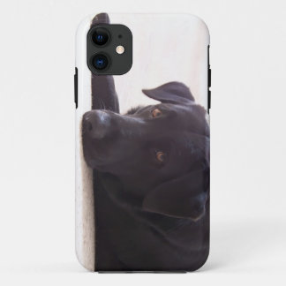 labrador retriever Case-Mate iPhone case