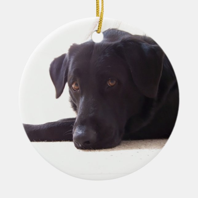 labrador retriever ceramic tree decoration (Front)
