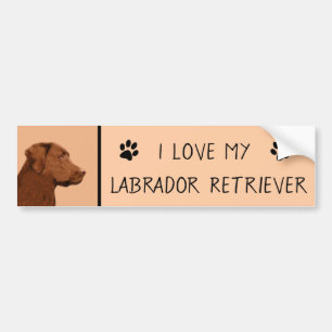 Labrador Retriever (Chocolate) Painting - Dog Art Bumper Sticker