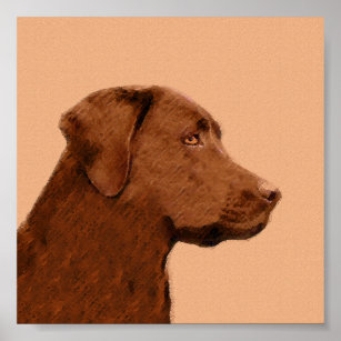 Labrador Retriever (Chocolate) Painting - Dog Art Poster