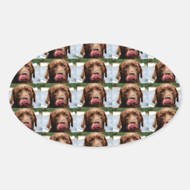 Labrador Retriever Chocolate Tiles BG Oval Sticker (Front)