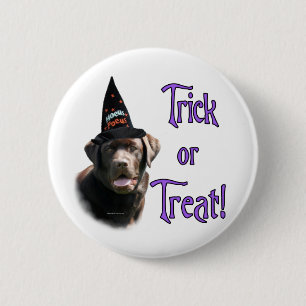 Labrador Retriever (chocolate) Trick 6 Cm Round Badge