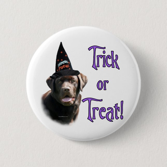 Labrador Retriever (chocolate) Trick 6 Cm Round Badge (Front)
