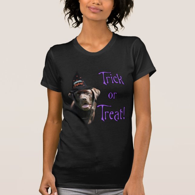 Labrador Retriever (chocolate) Trick T-Shirt (Front)