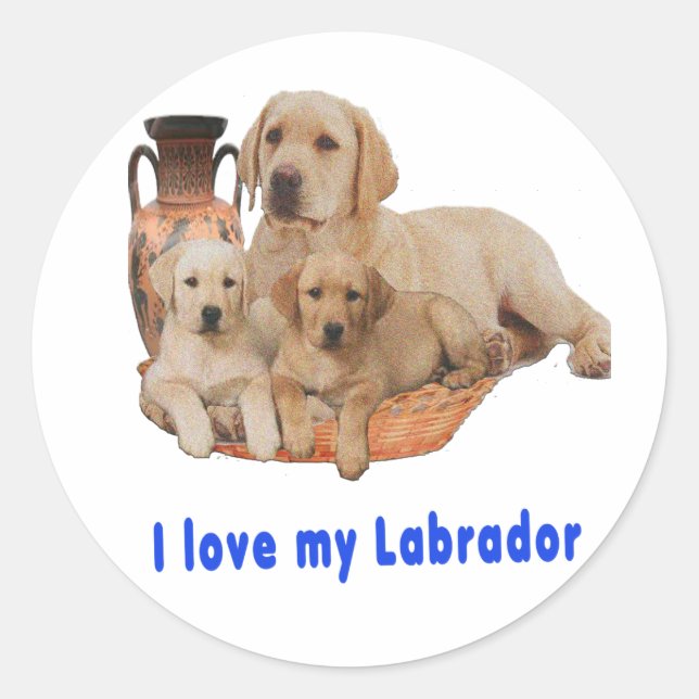 Labrador Retriever Classic Round Sticker (Front)