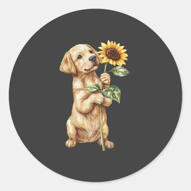 Labrador Retriever  Classic Round Sticker (Front)