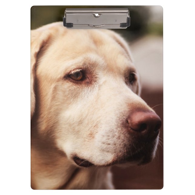 Labrador Retriever Clipboard (Front)