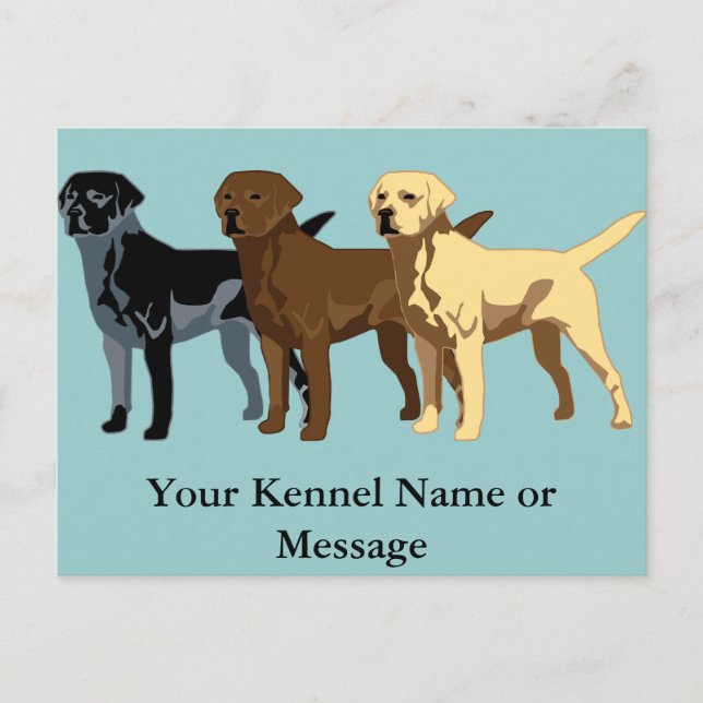Labrador Retriever colours Postcard (Front)