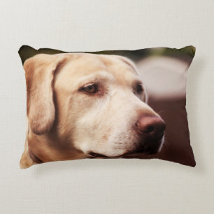 Labrador Retriever Decorative Cushion