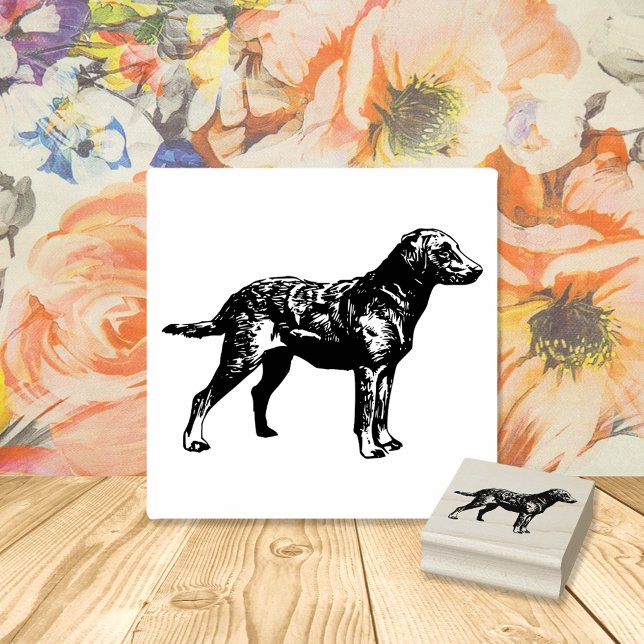 Labrador Retriever Dog Breed Rubber Stamp (Creator Uploaded)