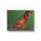 Labrador Retriever Dog Canvas Print