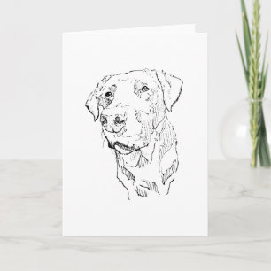 Labrador Retriever Dog Drawing Thank You Card