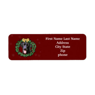Labrador Retriever Dog: Lab Dog for Christmas