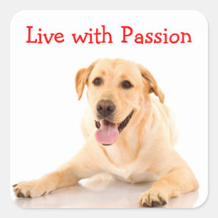 Labrador Retriever  Dog Live With Passion Sticker